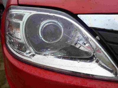 Lupa Logan rosu Stanga.jpg