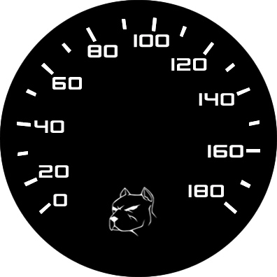 speedometer2.gif