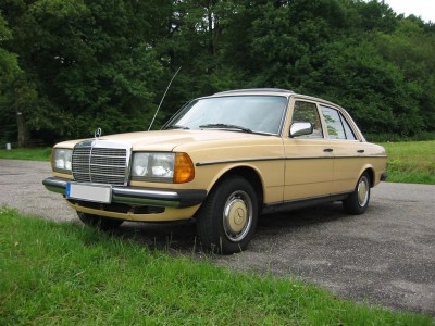 01-kopie-large-403716496774433386.JPG