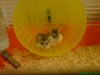 DSC00003` (1)`.JPG