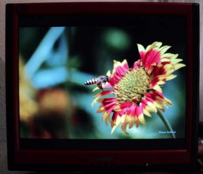 8440914_1_644x461_urgent-monitor-lcd-horizon-17-ploiesti_rev002.jpg (19.78 KiB) Vizualizat de 2089 ori 8440914_1_644x461_urgent-monitor-lcd-horizon-17-ploiesti_rev002.jpg