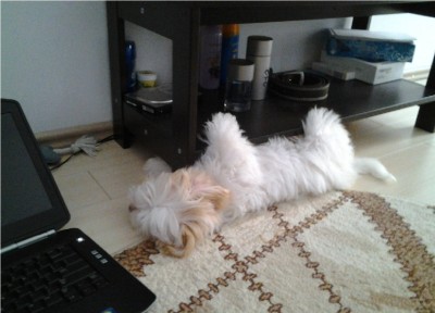2013-01-12 14.48.02.jpg