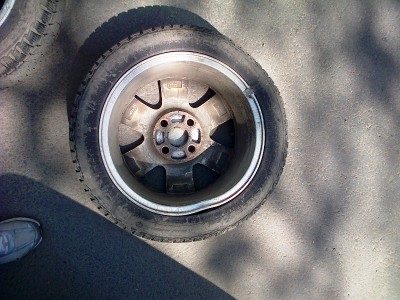 IMG-20130427-00175.jpg
