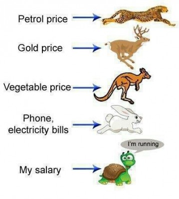 prices_497446810_n1.jpg