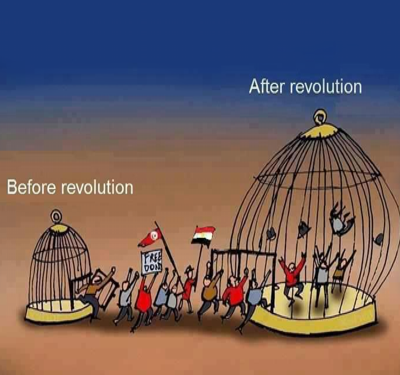 revolution_860228026_1599311158_n.png