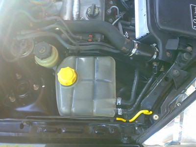 09012007096.jpg