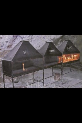 luminari_853722075_n.jpg