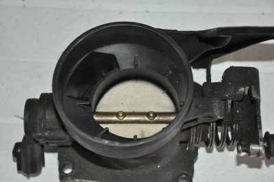 DSC_0262.JPG