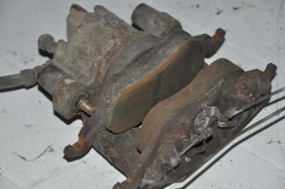 DSC_0442.JPG