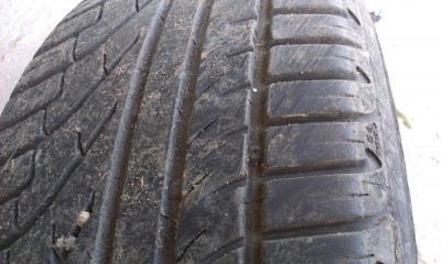 IMAG0085_r.jpg