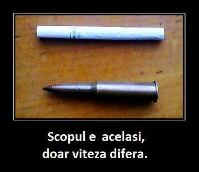tigara_752812377_n.jpg