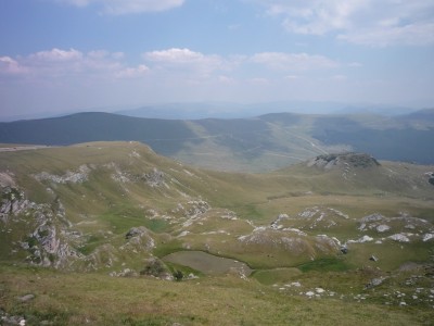 206.JPG