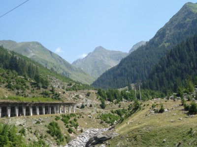 74.JPG