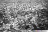 01. Panorama.jpg