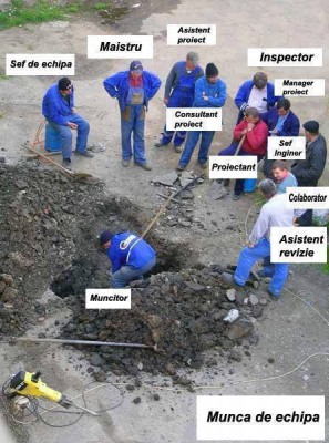 munca_1798522215_n.jpg