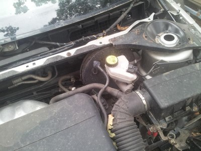 20130911_113233.jpg