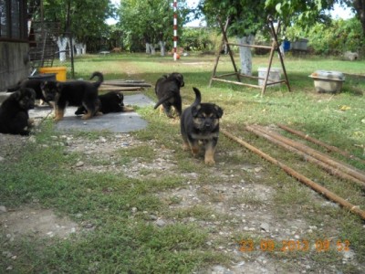 DSCN2566.JPG