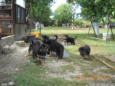 DSCN2567.JPG