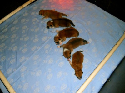 DSCN4018.JPG
