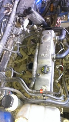 IMAG0152.jpg
