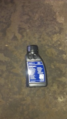 IMAG0155.jpg