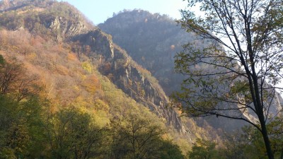 DSC_0010r.jpg