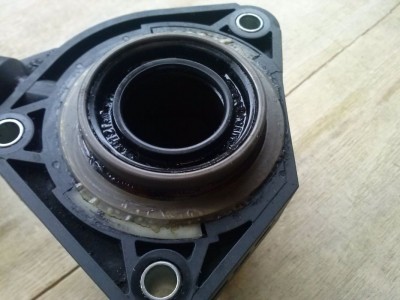 CAM00284.jpg