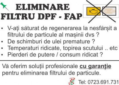 dpf-off flyer.jpg