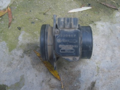 S8302446.JPG