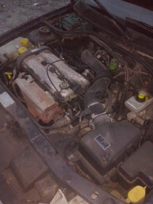 CAM00389_resize.jpg