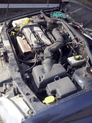 CAM00424_resize.jpg