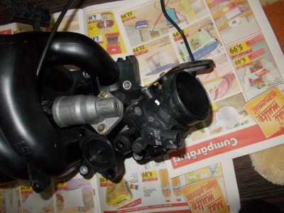 DSCN1505.JPG