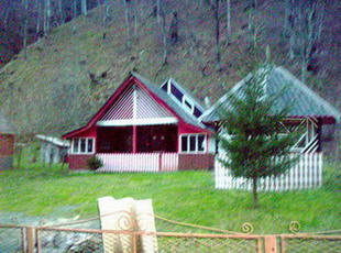 000_0430.jpg