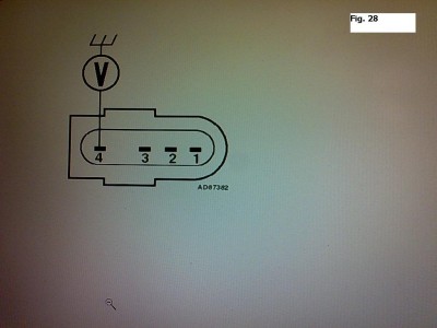 fig. 28.jpg