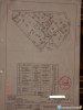 DSC08250.JPG