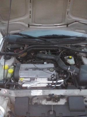 CAM00747_resize.jpg