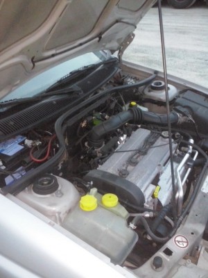 CAM00753_resize.jpg