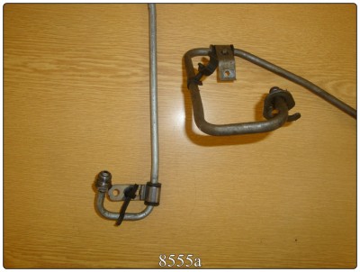8555a.JPG