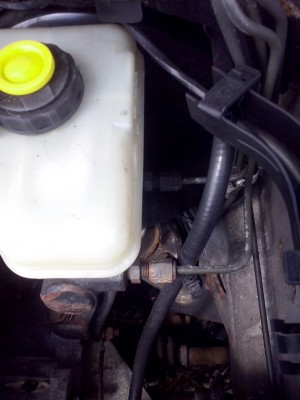 CAM00790_resize.jpg