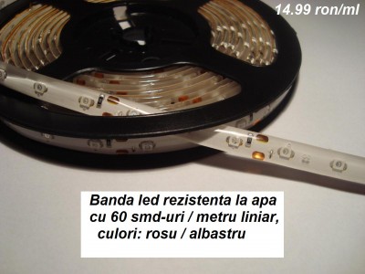 26.JPG