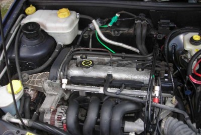 fiesta cris 6.jpg