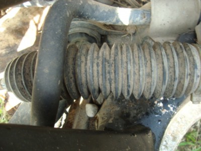 DSC04700.JPG (131.4 KiB) Vizualizat de 6685 ori DSC04700.JPG