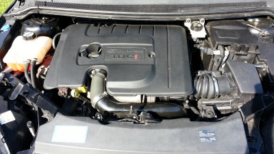 20140625_090823.jpg