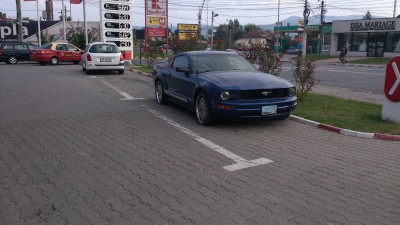 DSC_0014.JPG