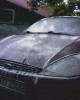 img013.jpg
