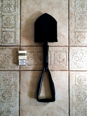 photo 3_1.jpg