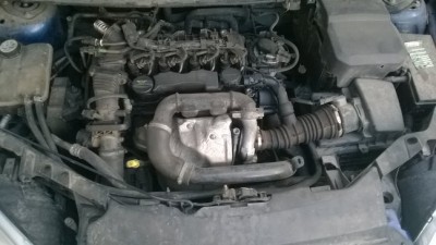 rsz_wp_20150111_022.jpg