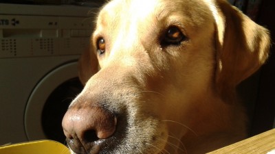 20150221_104050.jpg