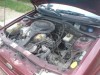 Copy of DSC00539.JPG