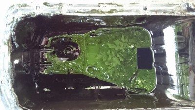 DSC_0315.jpg